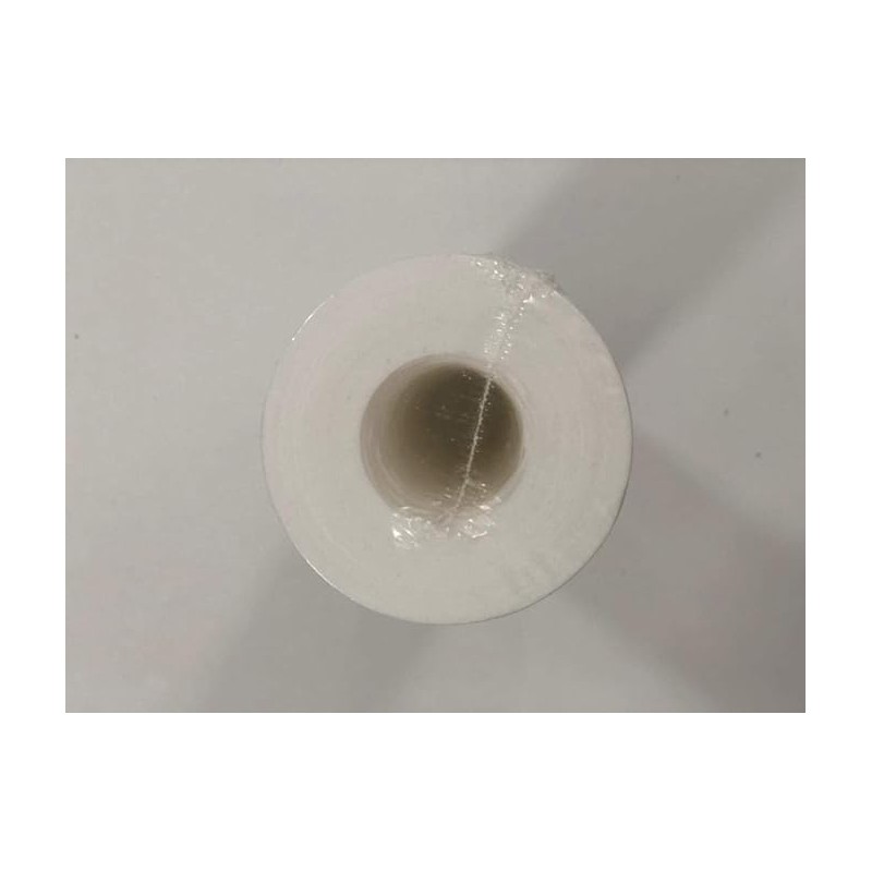 Filtro Acqua Pieghettato Membrane Solutions 20 Micron 10x2.5 Poliestere, Ricambi Lavabili (confezione Da 1 A 50 Pz)