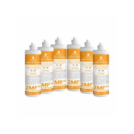 Scatola da 6 pezzi Filtro SWAN 2MF AG