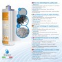Scatola da 6 pezzi Filtro SWAN 2MF AG