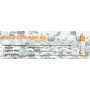 Scatola da 6 pezzi filtro acqua SWAN 4MFAG
