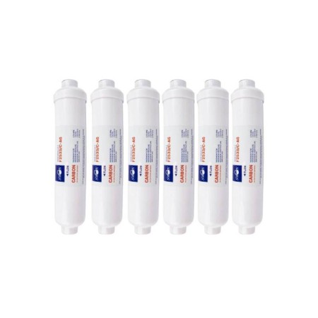Scatola 6 pz Filtro in linea Swan 10" carbone + Ag