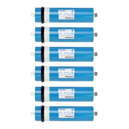 Scatola da 6 pezzi membrana SWAN 3013 - 400gpd   (3013)