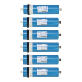 Scatola da 6 pezzi membrana SWAN 3013 - 600gpd (3013)