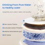 Filtro F1A Waterdrop alkalino compatibile con osmosi serie X16