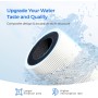 Filtro F2 Waterdrop sedimenti/carbone per osmosi serie X16