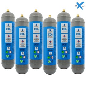 Scatola 6 bombole Co2 Usa e Getta 600 gr Swan