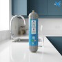 Scatola 6 bombole Co2 Usa e Getta 600 gr Swan