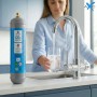 Scatola 2 bombole Co2 Usa e Getta 600 gr Swan