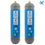 Scatola 2 bombole Co2 Usa e Getta 600 gr Swan