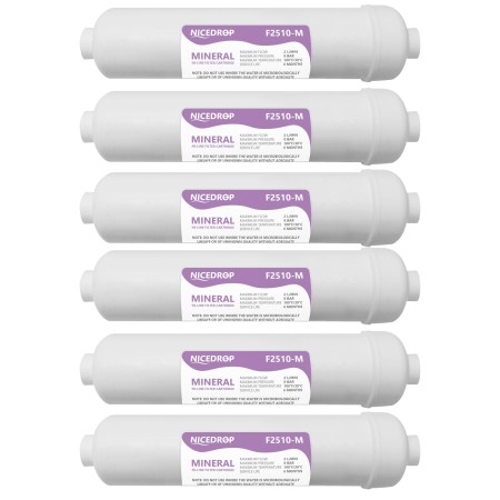 Filtri in Linea 1/4 filetto 10 Pollici per Impianti ad Osmosi-6PZ