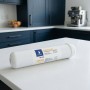 Filtro in linea Swan 12" carbone + Ag