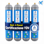 Scatola 4 bombole Co2 Usa e Getta 600 gr Swan