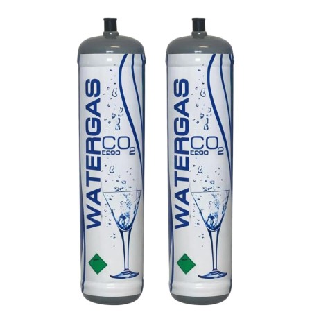 2 Bombole CO2 Usa e Getta 600g Watergas per Gasatori