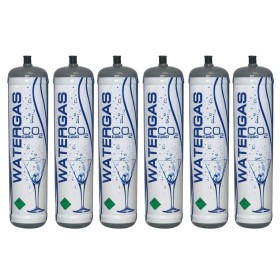 6 Bombole CO2 Usa e Getta 600g Watergas Risparmio