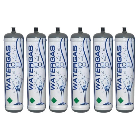 6 Bombole CO2 Usa e Getta 600g Watergas Risparmio