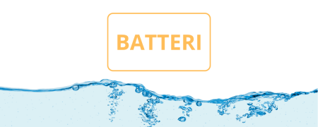 Batteri nell'Acqua: Soluzioni e Filtri | Acquaxcasa.com